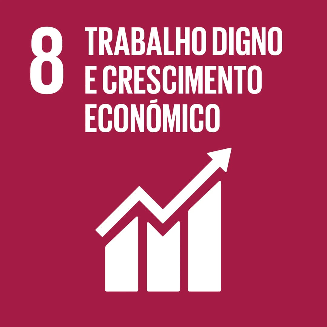 ODS 8 — Trabalho Decente